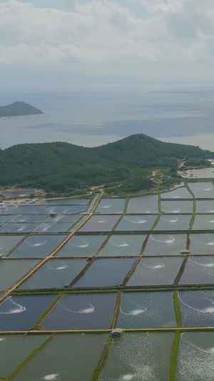 生产养殖鱼塘基地生产基地24秒视频