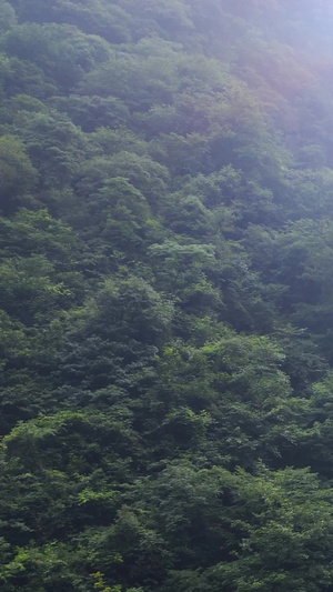江西宜春5A风景区云中飞瀑瀑布航拍江西旅游55秒视频