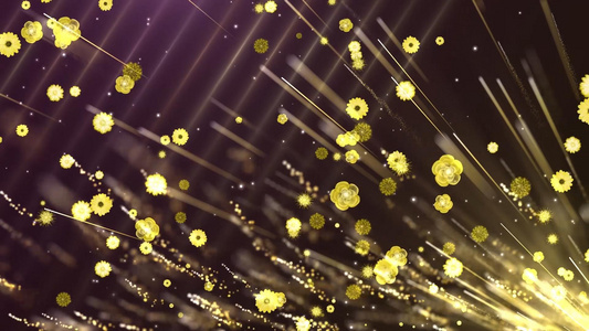 金色大气粒子光效花瓣飘动背景视频元素视频