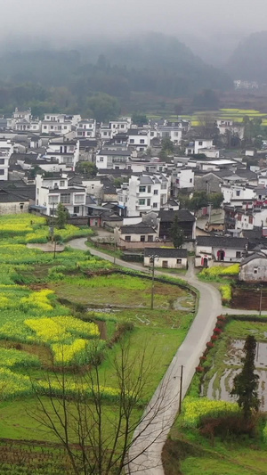 安徽黄山黟县碧山村春季风光徽派建筑30秒视频