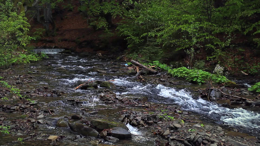 森林里的溪流视频