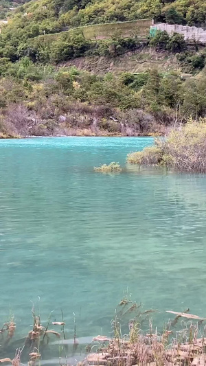 九寨沟风景区自然风景46秒视频