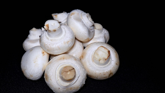 口蘑白蘑菇食用菌视频