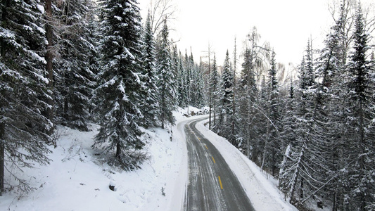 冬日雪地汽车白桦林公路视频