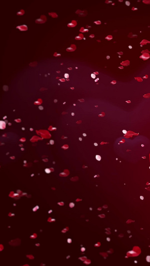 玫瑰花瓣爱心舞台背景感恩节，玫瑰爱心43秒视频