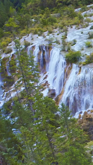 实拍四川九寨沟诺日朗瀑布旅游景点13秒视频