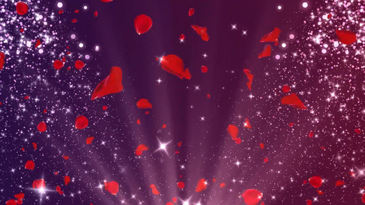 动态唯美粒子玫瑰花瓣大气光效背景视频元素视频