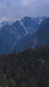 森林高山草甸雪山高原航拍视频