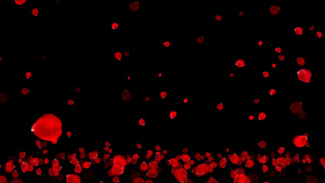 4K浪漫爱情玫瑰花瓣飘落动画元素带通道20秒视频