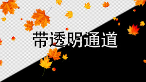 枫叶飘落视频元素27秒视频