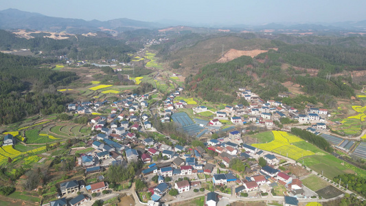 美丽乡村田园油菜花航拍视频