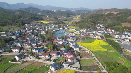 美丽乡村田园油菜花航拍视频