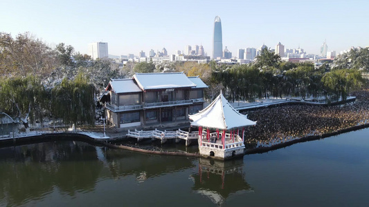 航拍山东济南大明湖5A景区雪景 视频