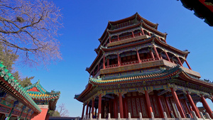 北京颐和园自然风光佛香阁7秒视频