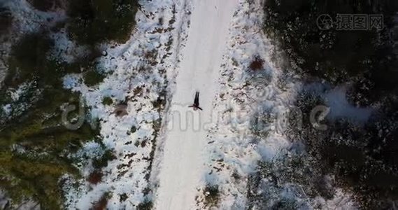 女人在雪地上玩耍的空中镜头视频