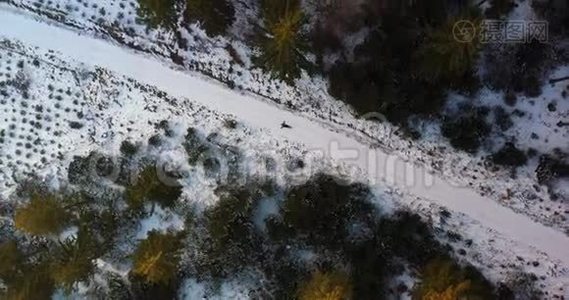 女人在雪地上玩耍的空中镜头视频