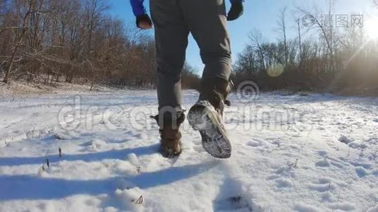 徒步旅行者背着背包走在覆盖着深深雪的松林里。 冬季活动和娱乐理念。视频