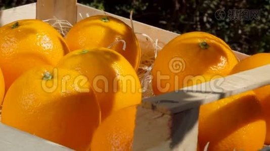 女人的手从木箱里取出成熟多汁的橘子视频