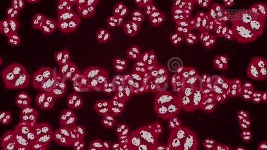 显微镜下的微生物和细菌。 冠状病毒的概念。 阿尔法频道。视频