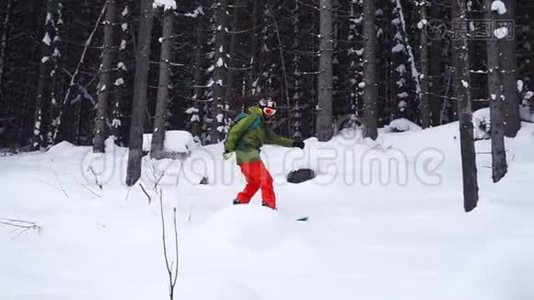 极限运动滑雪者在树木之间滑动视频