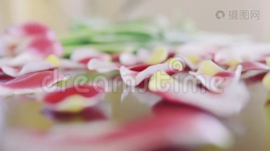 大片花瓣浪漫的粉红色郁金香礼物母亲节的节日在桌上视频