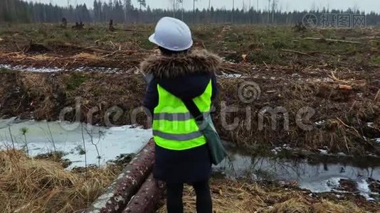 冬季雨天砍伐现场女林业检查员视频