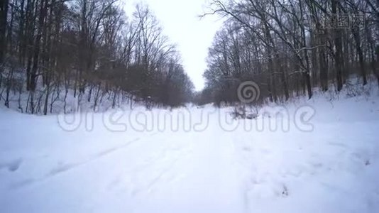 冬天在森林里度假，爸爸和孩子们一起在雪道上奔跑，手拿雪橇视频