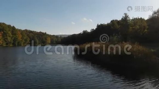 夏天阳光明媚的一天，喀尔巴阡山上有芦苇的山河风景如画视频