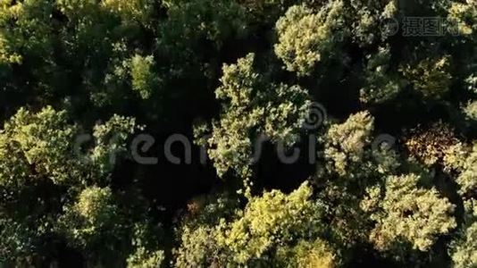 喀尔巴阡山脉夏季美丽的绿色森林的空中拍摄视频