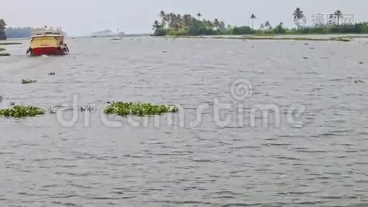 旅游船在热带地区沿宽河移动视频