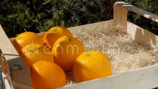 手把成熟多汁的橘子放在木箱里视频