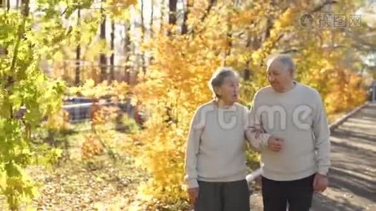 一对老夫妇走在人行道上，在一个美丽的秋天环境中，在公园里互相微笑视频