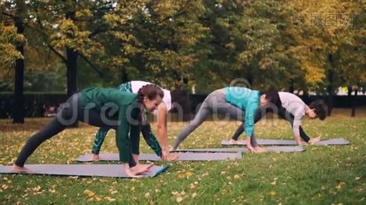 瑜伽课在公园里做伸展运动，享受秋天的自然、新鲜的空气和体育活动。 福祉视频