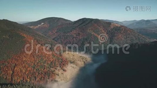 有绿色和棕色森林的图画山，阳光照耀视频