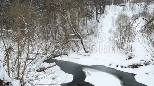 河流穿过冬林，美丽的冬景视频