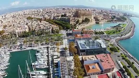 Palma de Mallorca，城市的空中镜头，繁忙的道路和华丽的大教堂视频