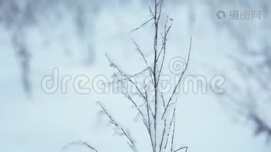 运动员在雪山上玩滑雪板视频