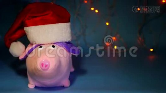 粉红色的猪塞玩具，戴着蓝色背景的红色圣诞老人帽子，新年2019，圣诞节，猪年视频