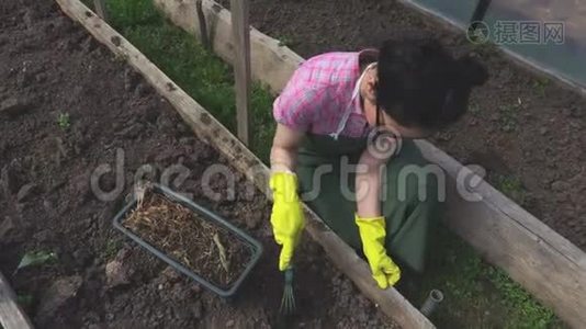 女园丁在温室里除草视频