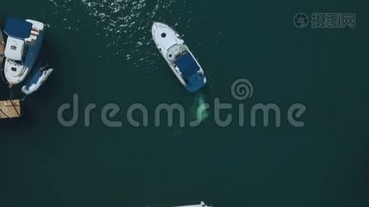 空中录像船从提瓦特港出发。 黑山视频