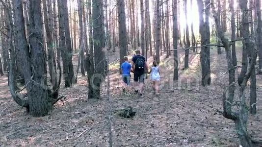 一家人在树林里散步视频