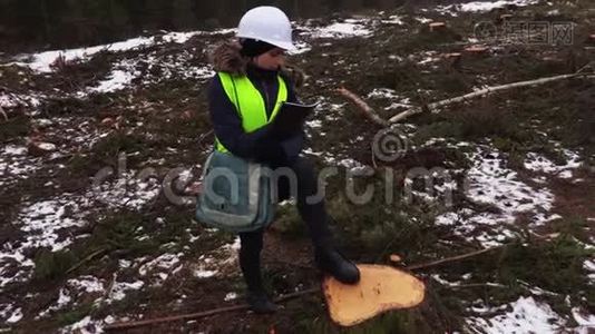 女林业检查员检查毁坏的森林视频