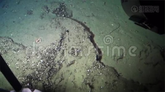 太平洋科科斯岛海底海底螃蟹。视频