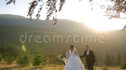 年轻漂亮的新婚夫妇在日落时一起在山坡上。 可爱的新郎和新娘。 风视频