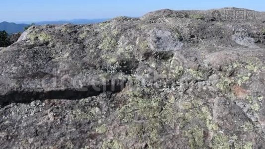 从岩石后面滑到露芙杜鹃视频