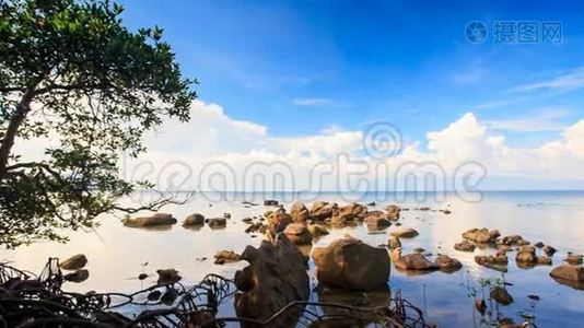 相机移动到不同的石头在浅水区视频