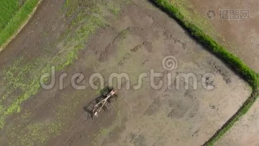 为水稻种植做耕地准备的农民的空中射击视频