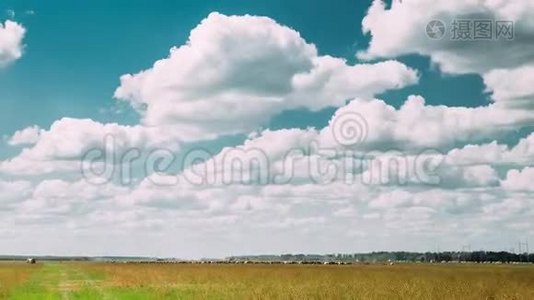夏季乡村田园草甸景观在风景秀丽的天空下随着蓬松的云彩而消逝。视频