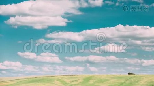 夏季乡村田园草甸景观在风景秀丽的天空下随着蓬松的云彩而消逝。视频