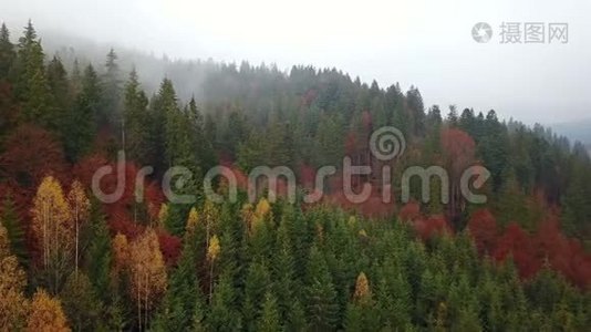 晨雾的高山空中景色视频